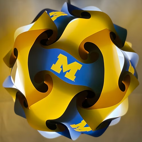 University of Michigan Wolverines